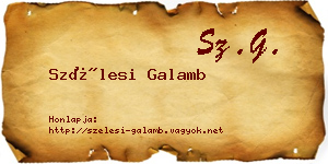 Szélesi Galamb névjegykártya
